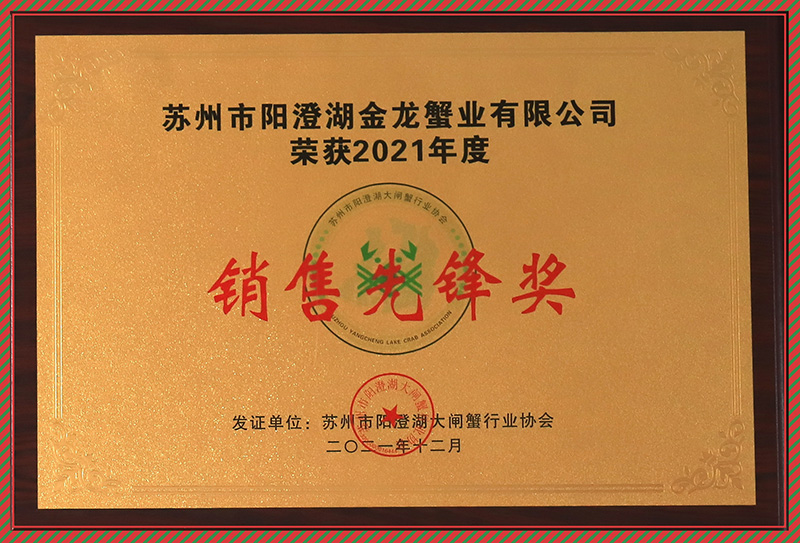 銷(xiāo)售先鋒獎(jiǎng)